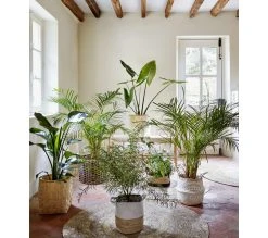 Promos TIME Magasin 38 Vente flash 🤩 TIME Panier rond TAO Blanc 🛒