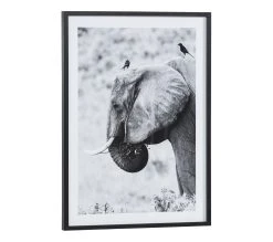Meilleur prix 🎉 TIME Image 50x70 cm ELEPHANT CORBEAU Noir 😉 -Espace Déco Magasin 3446035937954 Q