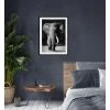 Offres 🔔 TIME Image 50x70 cm ELEPHANT Noir 💯 -Espace Déco Magasin 3446035937961 AMB1