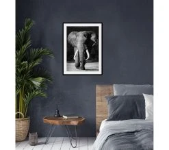 Offres 🔔 TIME Image 50x70 cm ELEPHANT Noir 💯