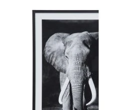 Offres 🔔 TIME Image 50x70 cm ELEPHANT Noir 💯 -Espace Déco Magasin 3446035937961 D