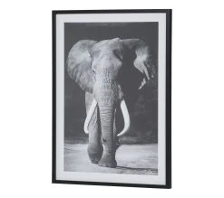 Offres 🔔 TIME Image 50x70 cm ELEPHANT Noir 💯 -Espace Déco Magasin 3446035937961 P
