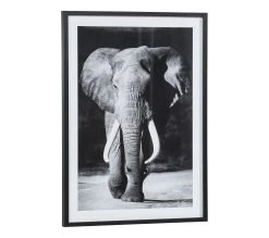 Offres 🔔 TIME Image 50x70 cm ELEPHANT Noir 💯 -Espace Déco Magasin 3446035937961 Q