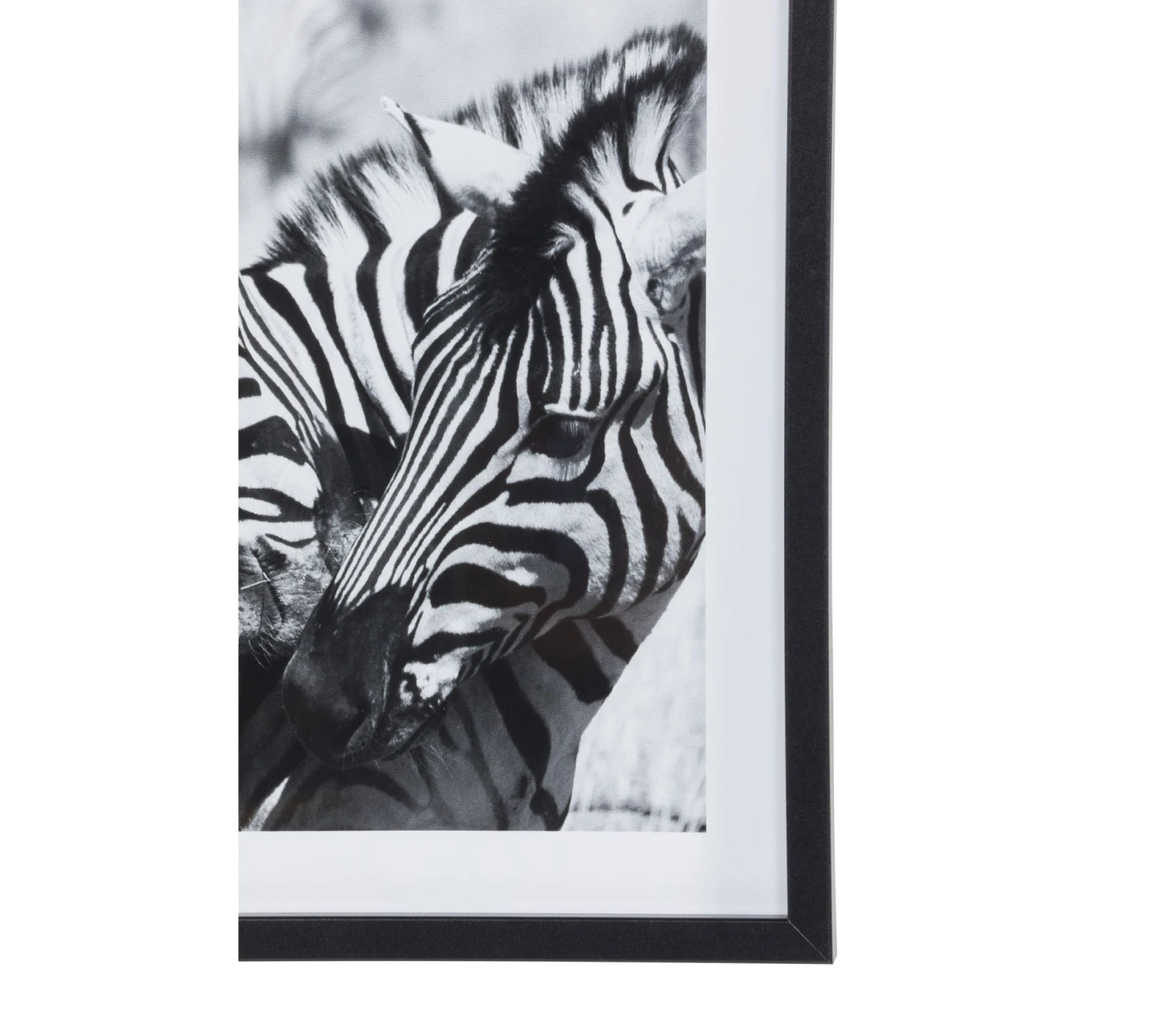 De gros ✨ TIME Image 30x40 cm ZEBRES CALIN Noir / Blanc ❤️ 7 De gros ✨ TIME Image 30x40 cm ZEBRES CALIN Noir / Blanc ❤️ – Image 5