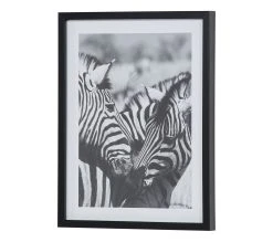 De gros ✨ TIME Image 30x40 cm ZEBRES CALIN Noir / Blanc ❤️ 15 De gros ✨ TIME Image 30x40 cm ZEBRES CALIN Noir / Blanc ❤️ -Espace Déco Magasin 3446035937978 P