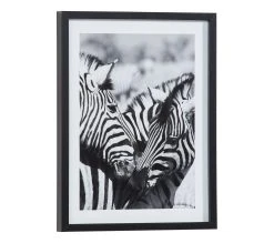 De gros ✨ TIME Image 30x40 cm ZEBRES CALIN Noir / Blanc ❤️ 14 De gros ✨ TIME Image 30x40 cm ZEBRES CALIN Noir / Blanc ❤️ -Espace Déco Magasin 3446035937978 Q