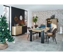 Acheter ❤️ TIME Chaise velours MARINETTE Taupe 🛒 -Espace Déco Magasin 4894223218832 AMB9 288415